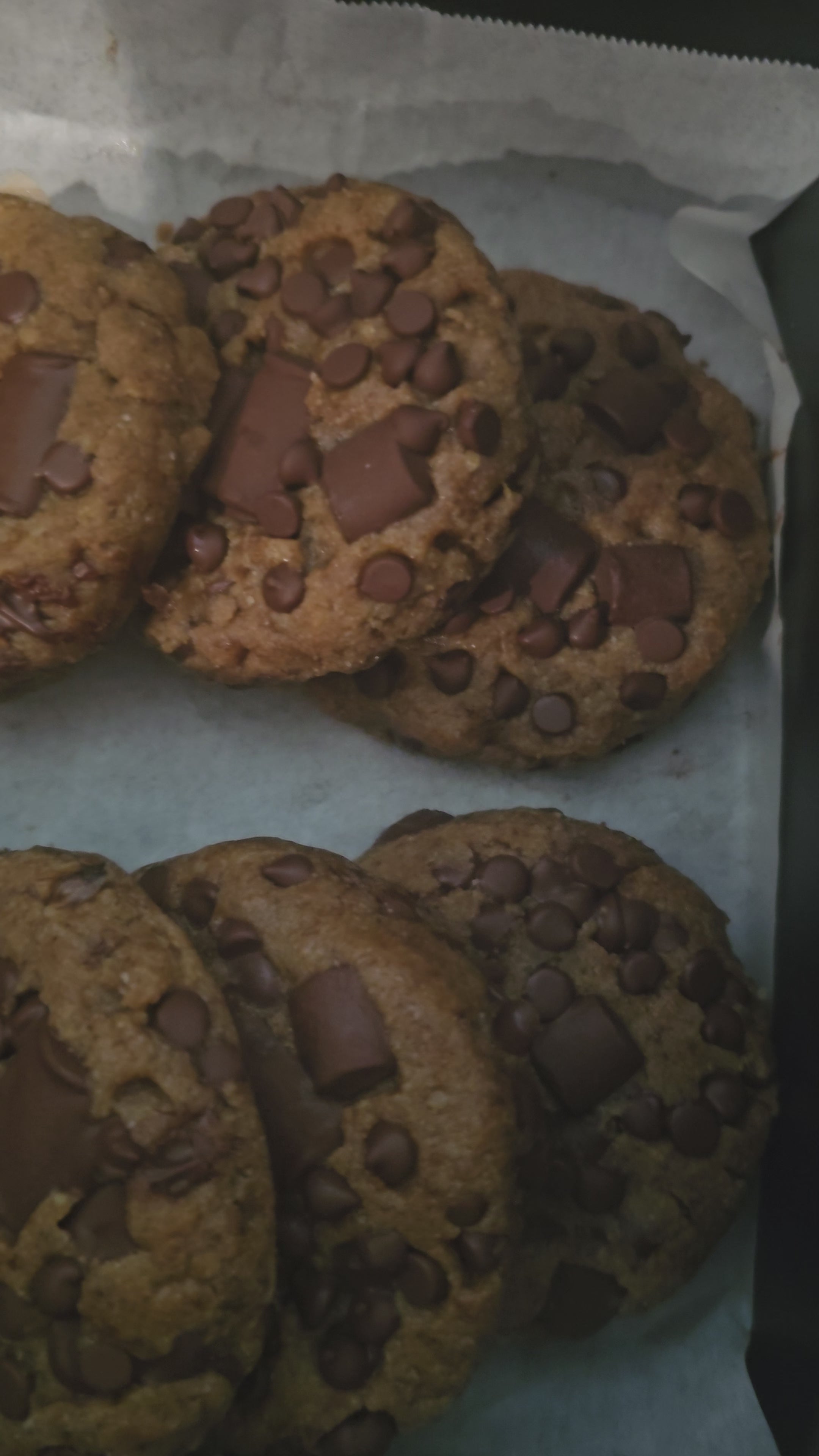 Chocolate Chip Cookie (Buckeye Baby) High Fiber, Gluten & Dairy Free Sea Moss Infused Chocolate Chip Cookie